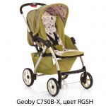  Прогулочная коляска 05C750B-X